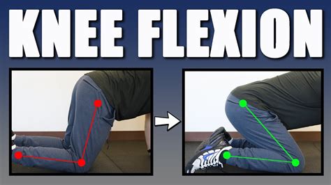 xlecx.kne|How to Do Knee Flexion .